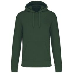 Sweat-shirt &agrave; capuche K4027 DARK KHAKI