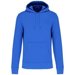 Sweat-shirt &agrave; capuche K4027 LIGHT ROYAL BLUE Niederkorn Differdange, Luxembourg