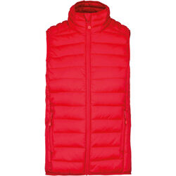 Bodywarmer Homme Doudoune Légère