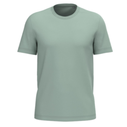 T-SHIRT BIO190 IC HOMME