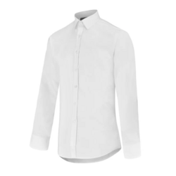 CHEMISE MANCHES LONGUES HOMME CATTURA