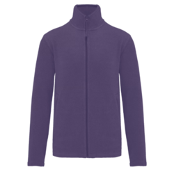VESTE MICROPOLAIRE ZIPP&Eacute;E HOMME