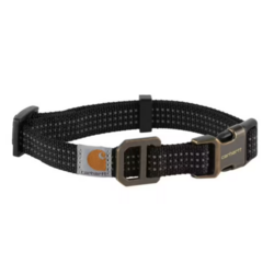 DOG COLLAR