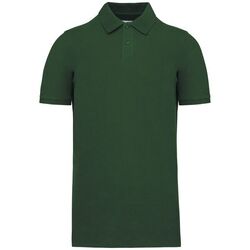 Polo Bio 180 K2025 Niederkorn Differdange, Luxembourg