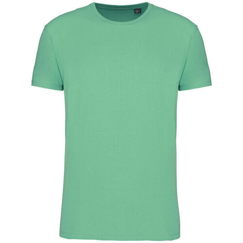T-shirt Bio 150IC K3025ICC SAGE