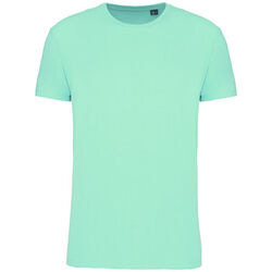 T-shirt Bio 150IC K3025ICC ICE MINT Niederkorn Differdange, Luxembourg T-shirt Bio 150IC K3025ICC ICE MINT Niederkorn Differdange, Luxembourg