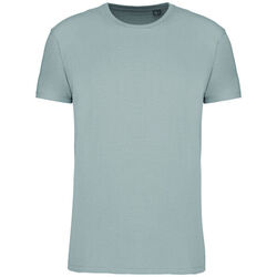 T-shirt Bio 150IC K3025ICC SNOW GREY Niederkorn Differdange, Luxembourg T-shirt Bio 150IC K3025ICC SNOW GREY Niederkorn Differdange, Luxembourg