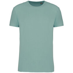 T-shirt Bio 190IC K3032ICC SAGE Niederkorn Differdange, Luxembourg T-shirt Bio 190IC K3032ICC SAGE Niederkorn Differdange, Luxembourg