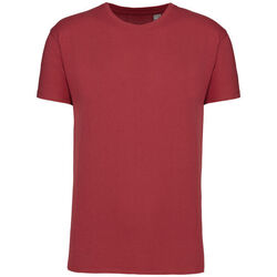 T-shirt Bio 190IC K3032ICC TERRACOTTA RED Niederkorn Differdange, Luxembourg T-shirt Bio 190IC K3032ICC TERRACOTTA RED Niederkorn Differdange, Luxembourg