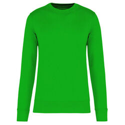 Sweat-shirt &eacute;coresponsable K4025 KELLY GREEN Niederkorn Differdange, Luxembourg