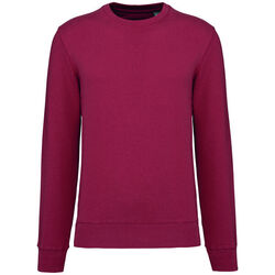 Sweat-shirt &eacute;coresponsable K4025 TERRACOTTA RED Niederkorn Differdange, Luxembourg